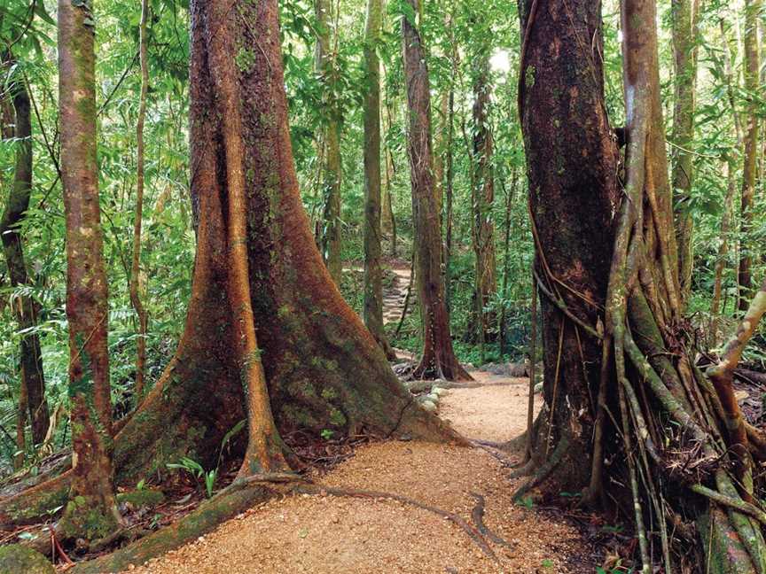 Mossman Gorge, Daintree National Park, Mossman, QLD