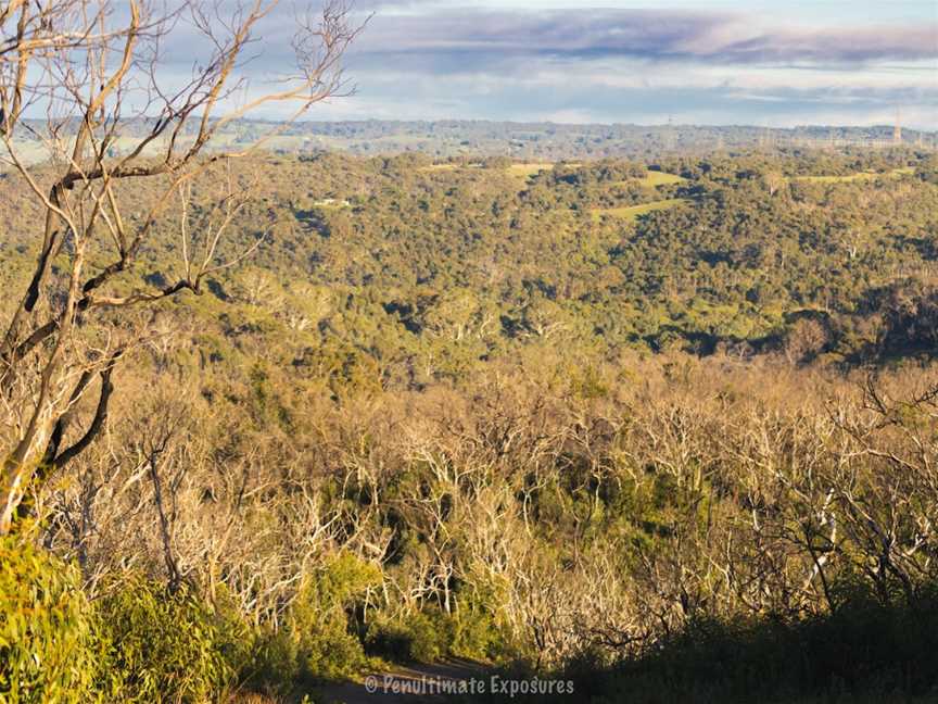 Scott Creek Conservation Park, Dorset Vale, SA