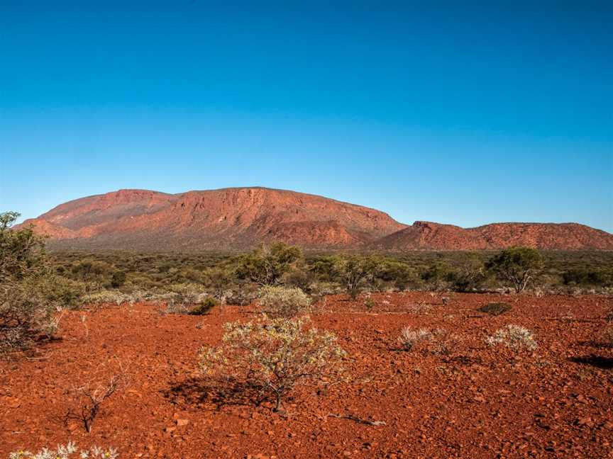 Mount Augustus, East Lyons River, WA