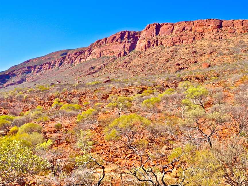 Mount Augustus, East Lyons River, WA