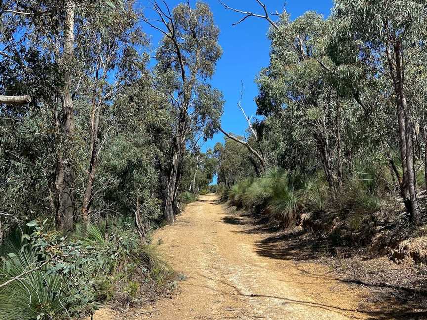 Mt Everard Circuit, Kinglake, VIC