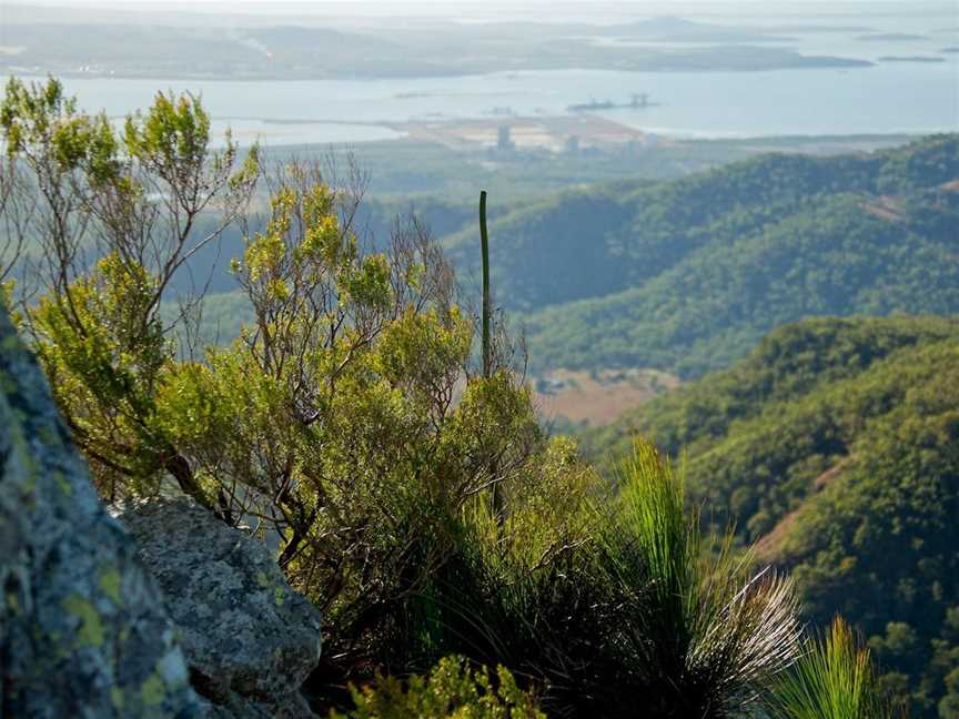 Mount Larcom Climb, Mount Larcom, QLD