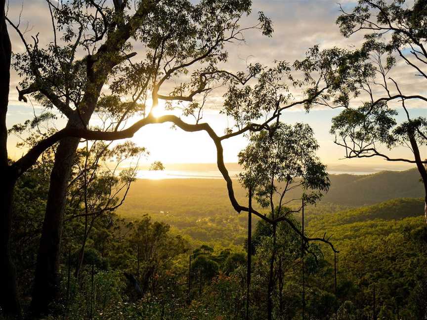 Mount Larcom Climb, Mount Larcom, QLD