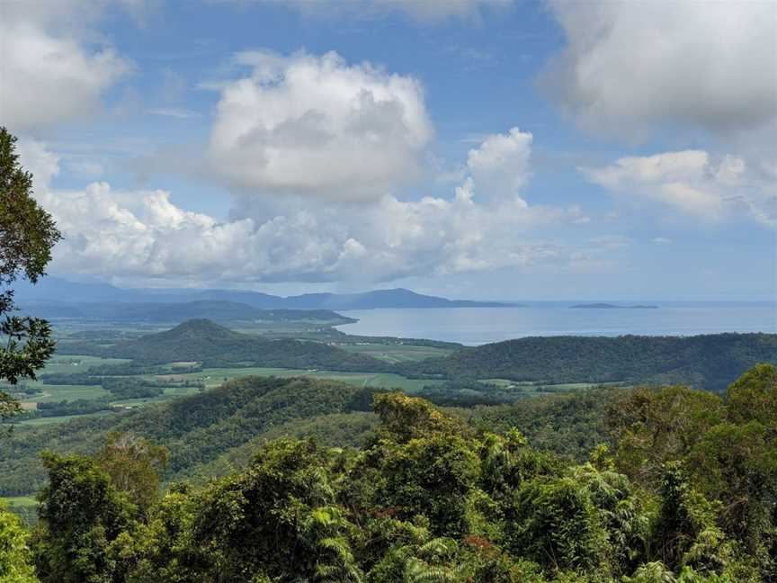 Mount Lewis National Park, Julatten, QLD