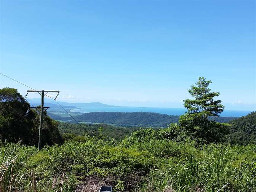 Mount Lewis National Park, Julatten, QLD