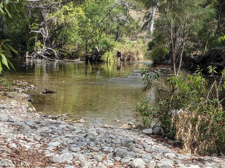 Mount Lewis National Park, Julatten, QLD