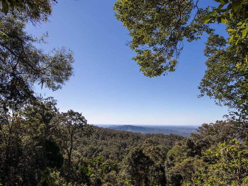 Thylogale Track, Mount Nebo, QLD