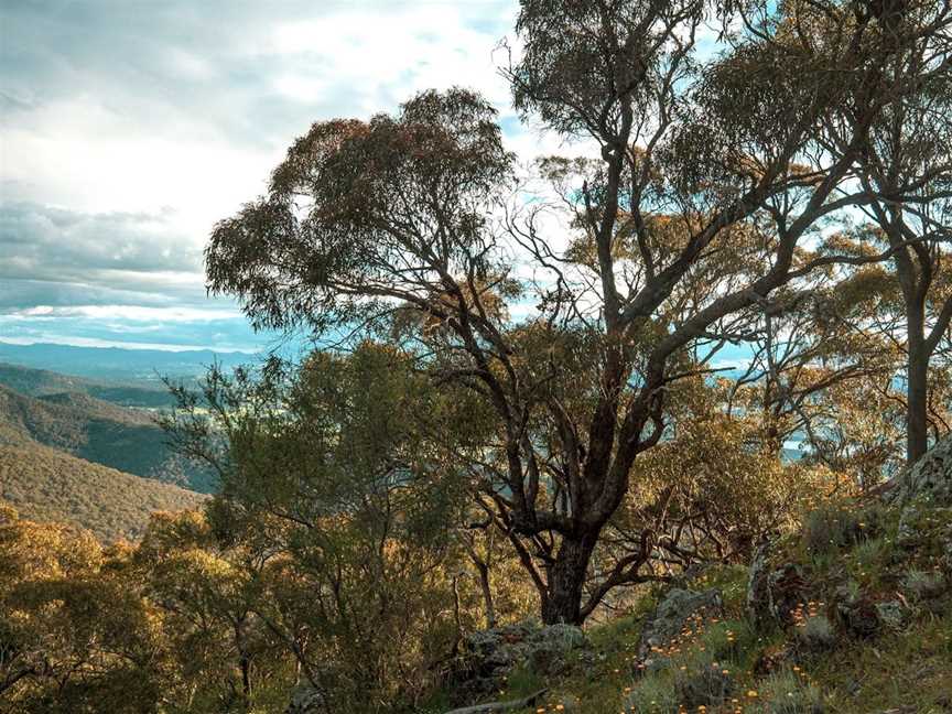 Mount Samaria  Walking Track, Samaria, VIC