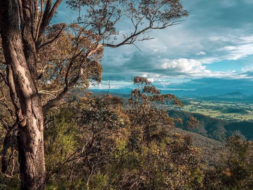 Mount Samaria  Walking Track, Samaria, VIC