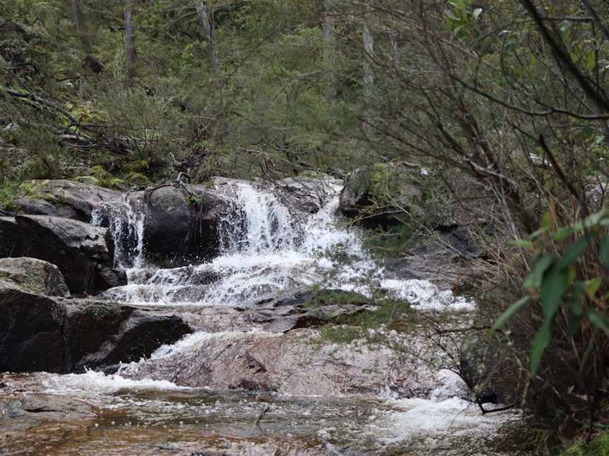 Mount Samaria State Park, Bridge Creek, VIC