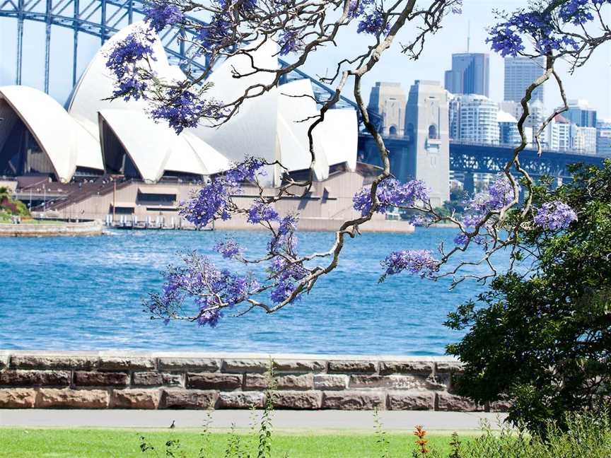 Royal Botanic Garden and the Domain, Sydney, NSW