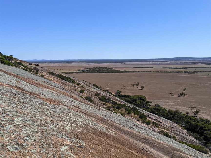 Mount Wudinna, Wudinna, SA