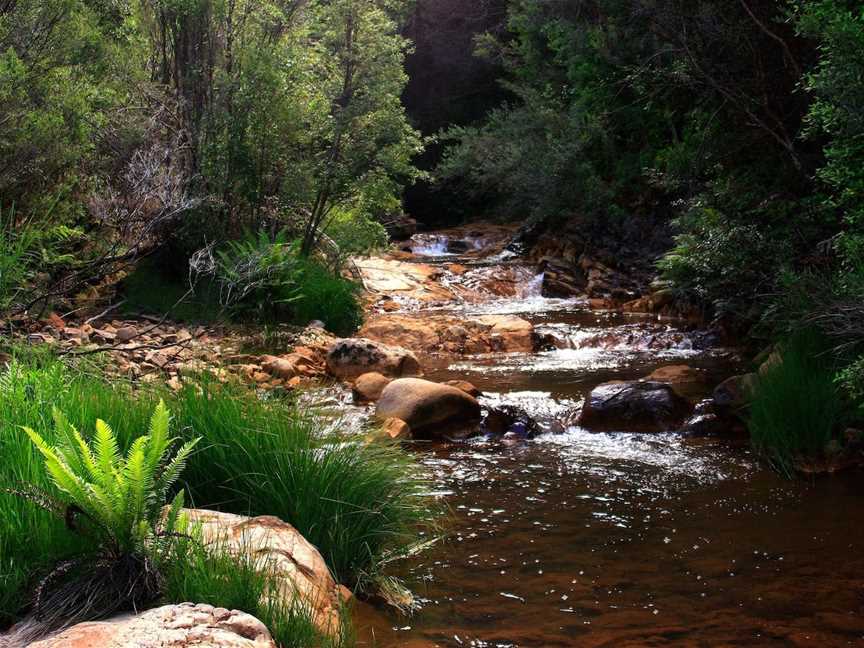 Hellyer Gorge picnic area, Waratah, TAS