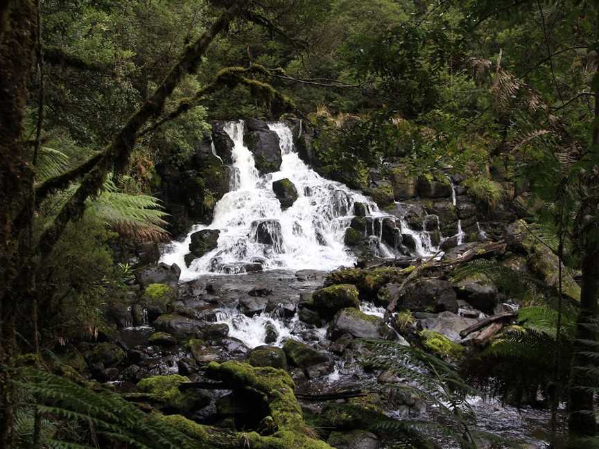 Hellyer Gorge picnic area, Waratah, TAS