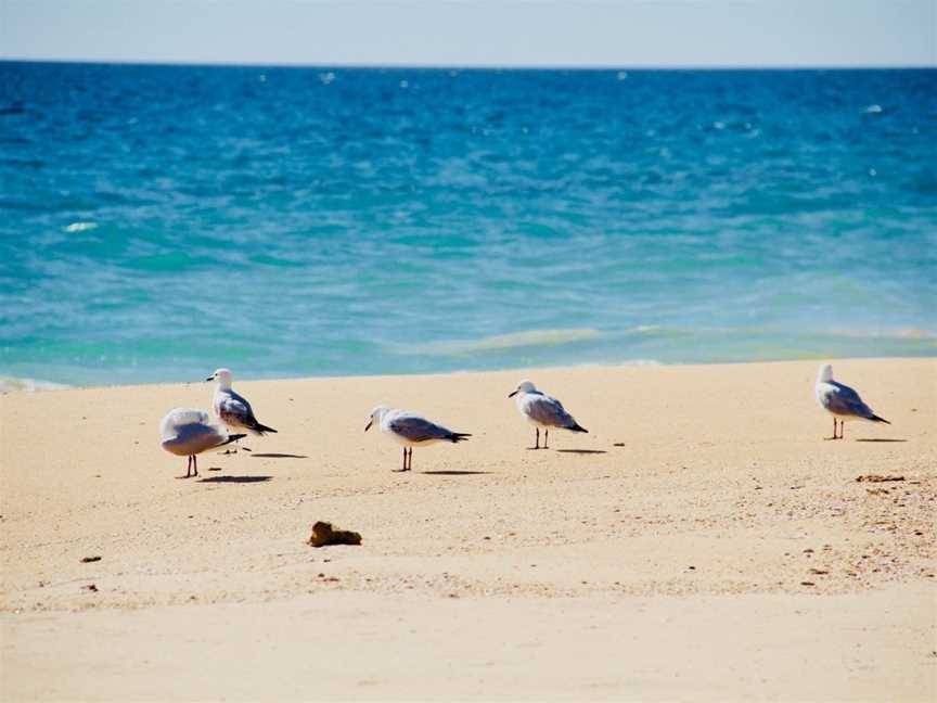 Myalup Beach, Myalup, WA