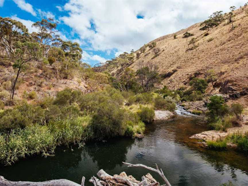 Werribee Gorge State Park, Pentland Hills, VIC