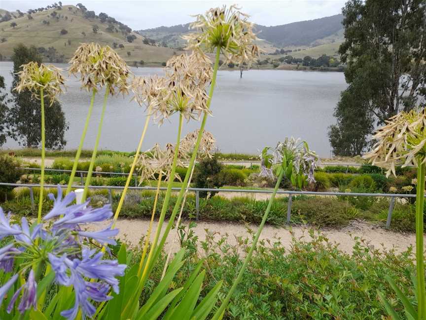 Old Tallangatta Lookout, Old Tallangatta, VIC