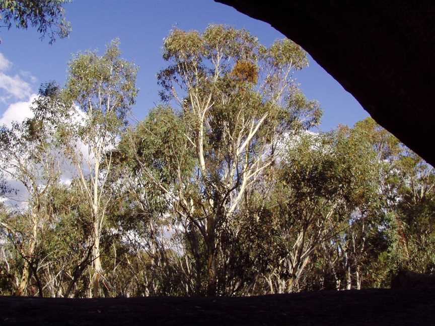 Yankee Hat, Tharwa, ACT