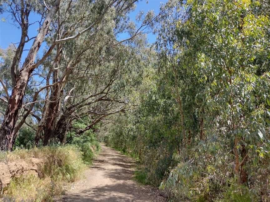 Wiradjuri Reserve, Wagga Wagga, NSW