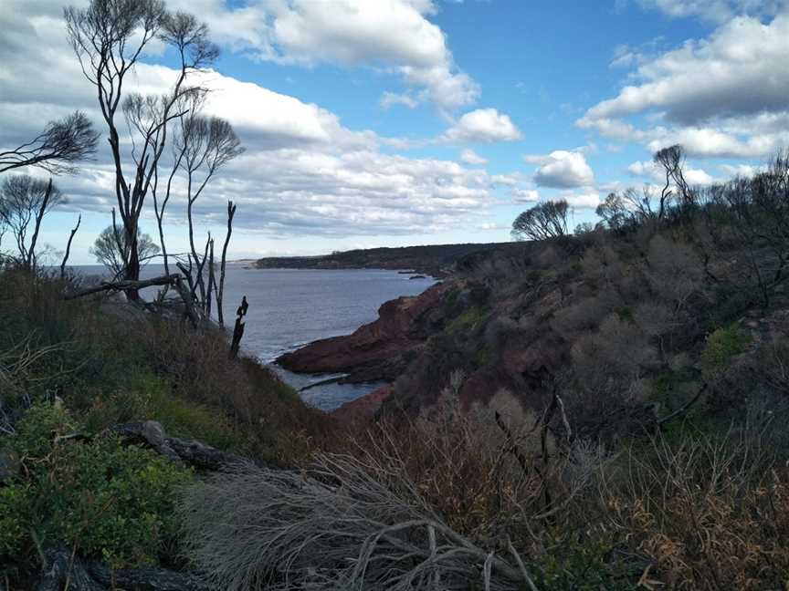 Nelson Lagoon, Mogareeka, NSW