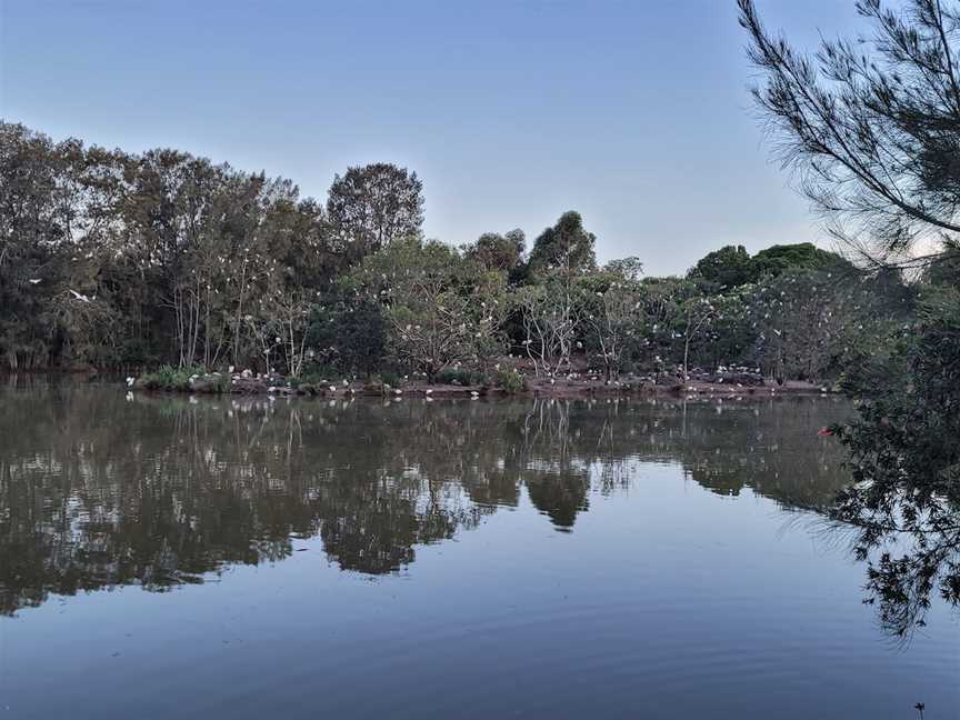 Fay Smith Wetlands, Maryborough, QLD