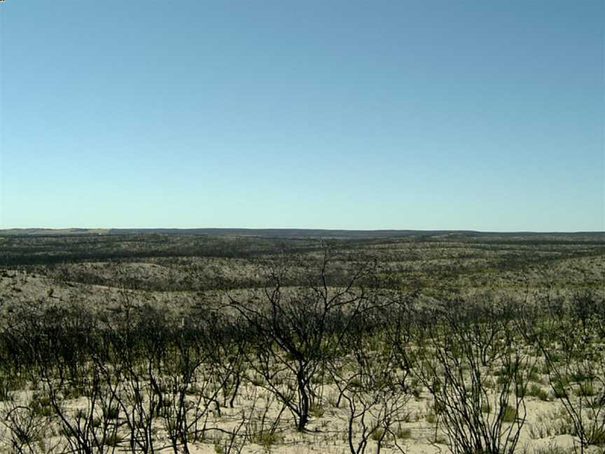 Ngarkat Conservation Park, Lameroo, SA