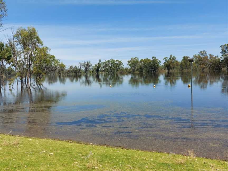 Lock 4, Bookpurnong, SA