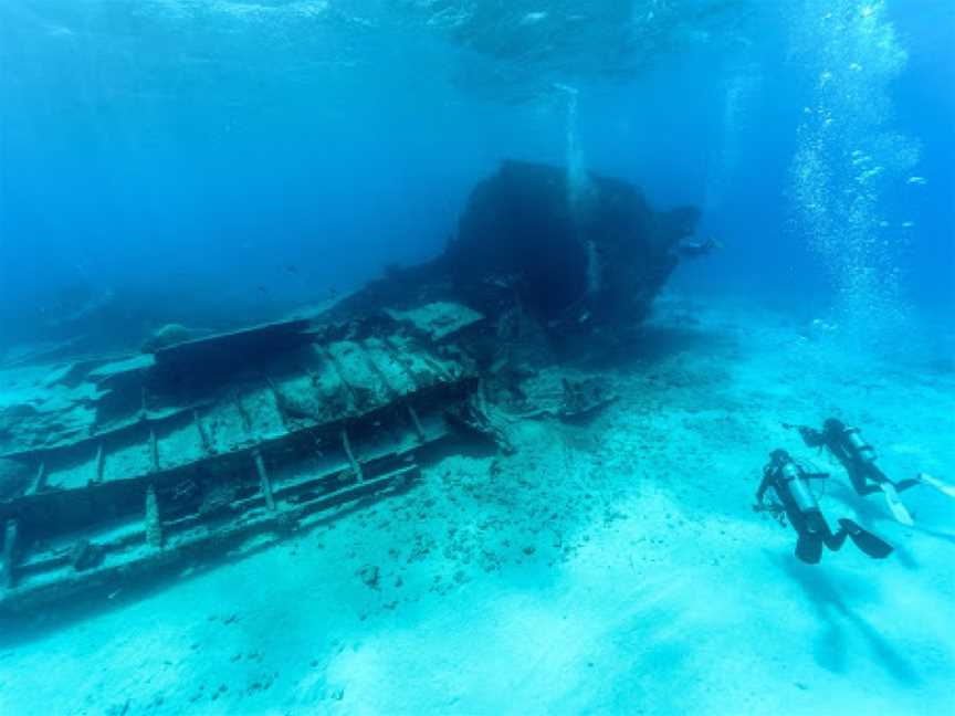 Nine Mile Reef Dive Site, Coolangatta, QLD