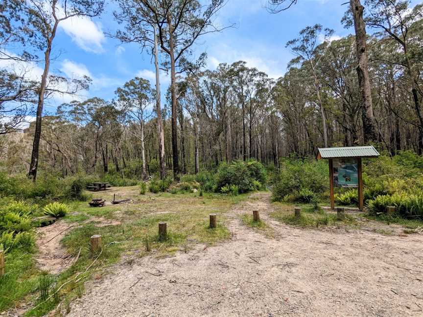 Corn Trail Walking Track, Buckenbowra, NSW