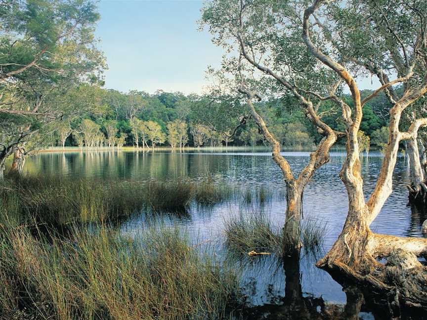 Cooloola, Great Sandy National Park, Noosa North Shore, QLD