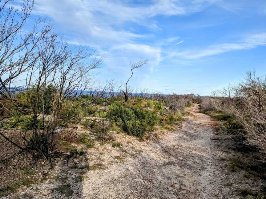 Fairfax walk, Manly, NSW