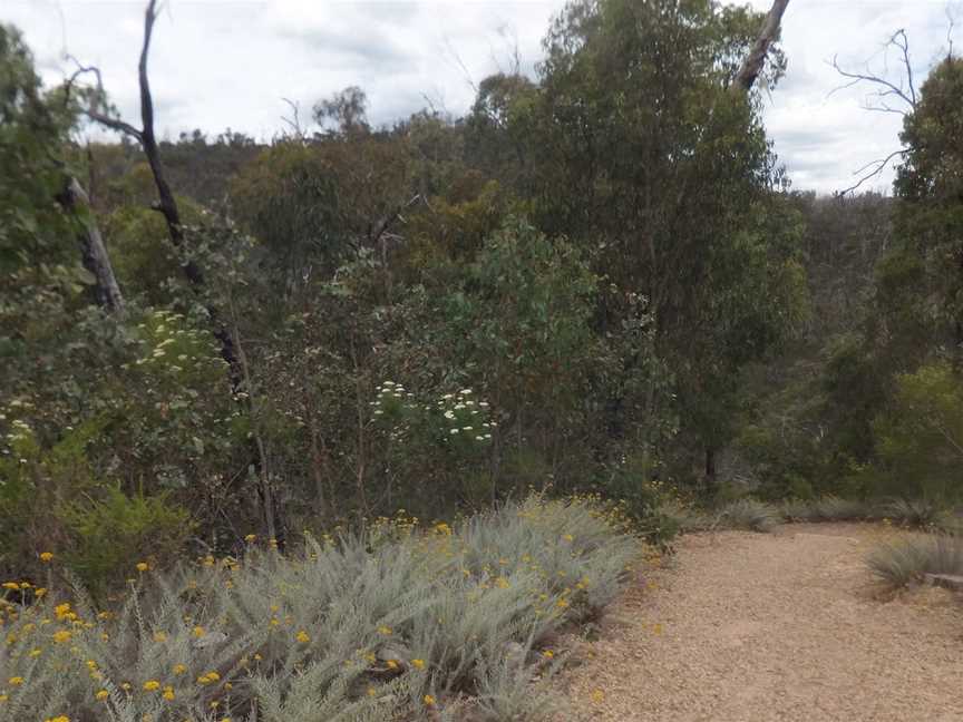 Mt Disappointment State Forest, Heathcote Junction, VIC