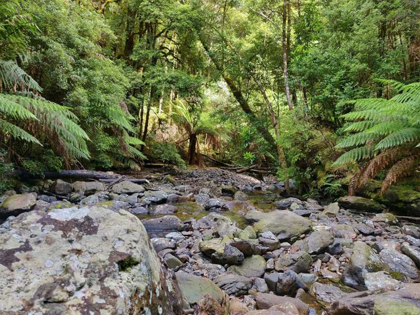 Montezuma Falls, Rosebery, TAS