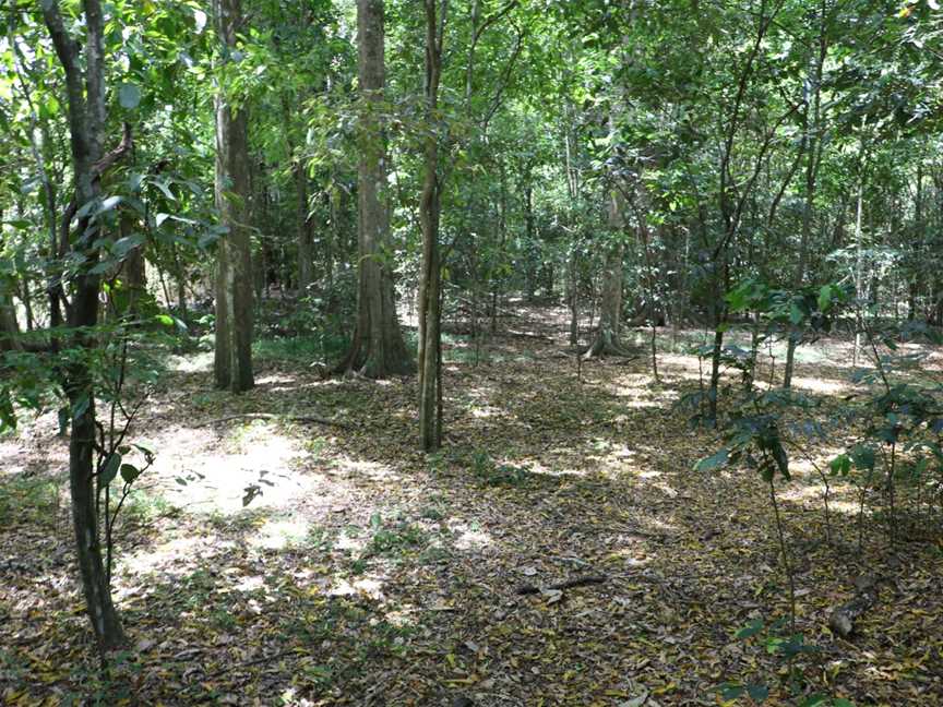 Moore Park Nature Reserve, Old Grevillia, NSW