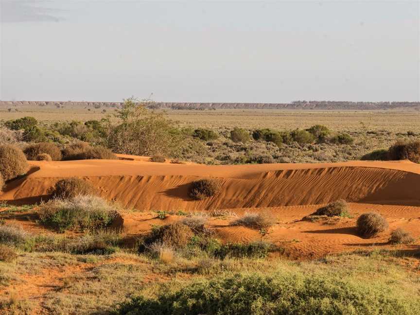 Perry Sandhills, Wentworth, NSW