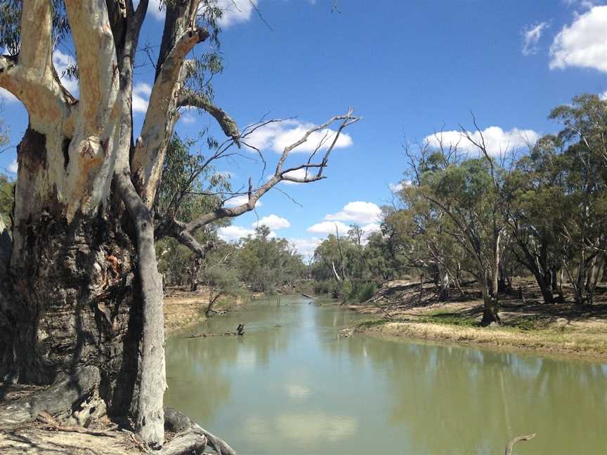 Chowilla Game Reserve And Regional Reserve, Renmark, SA