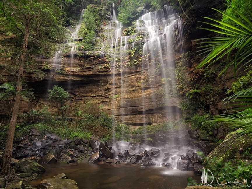 Watagans National Park, Olney, NSW