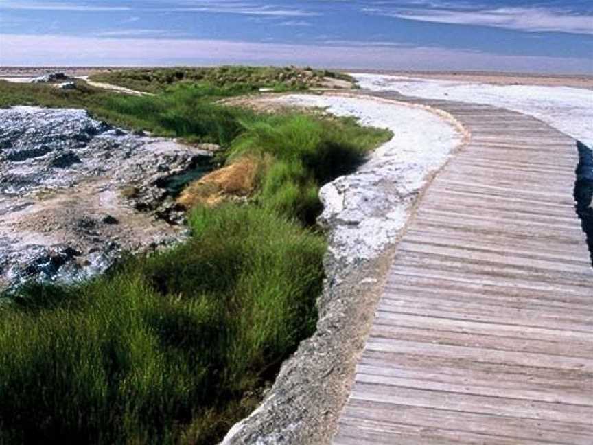 Wabma Kadarbu Mound Springs Conservation Park, Marree, SA