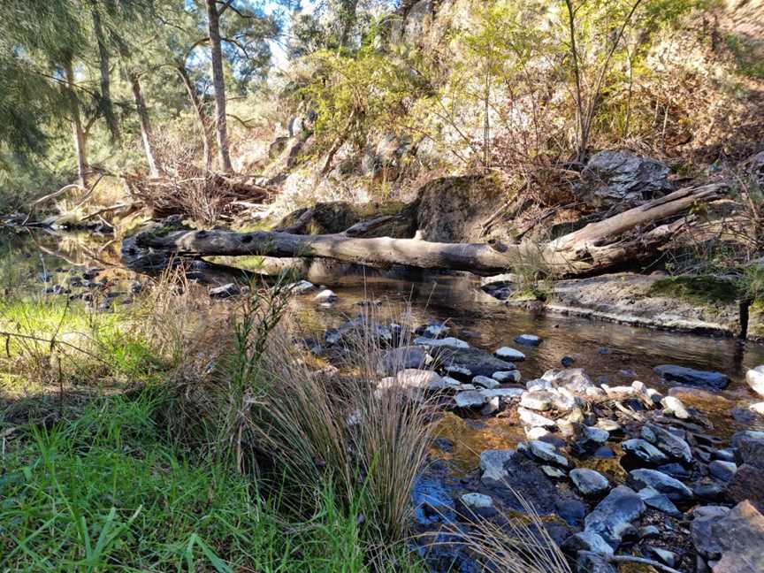 Fourth Crossing picnic area, Ophir, NSW