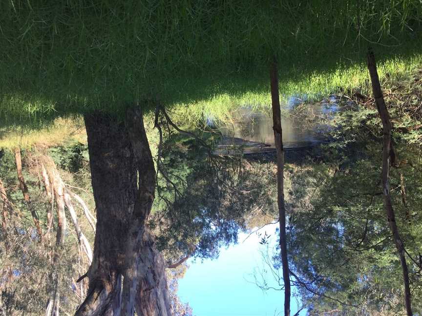 Ovens Billabong, Oxley Flats, VIC