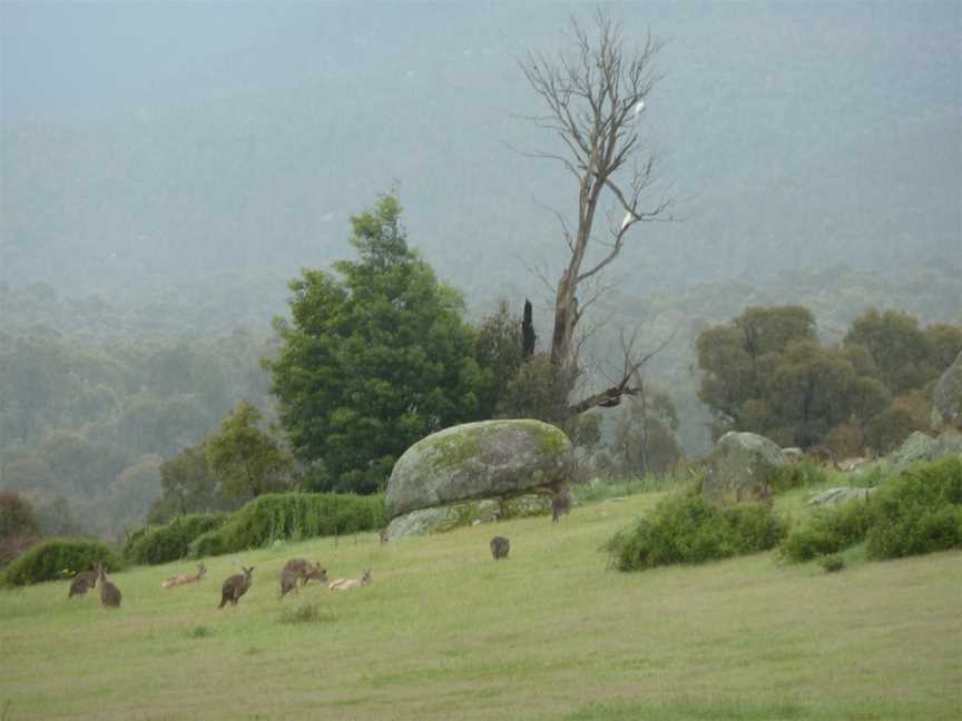 Tidbinbilla Nature Reserve, Paddys River, ACT