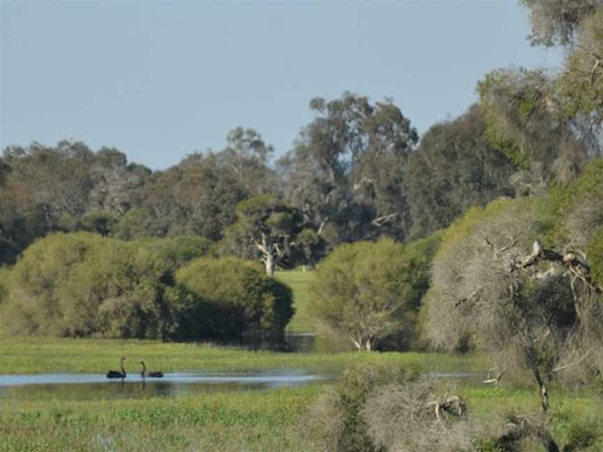 Whiteman Park, Whiteman, WA