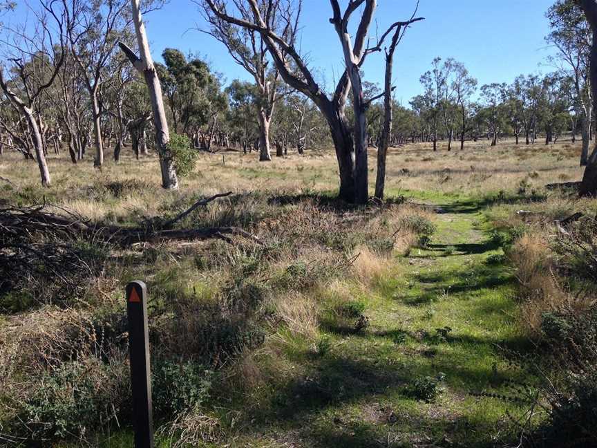 Wyperfeld National Park, Yaapeet, VIC