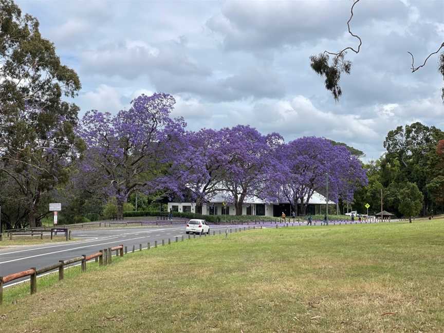 Little Coogee, Parramatta, NSW