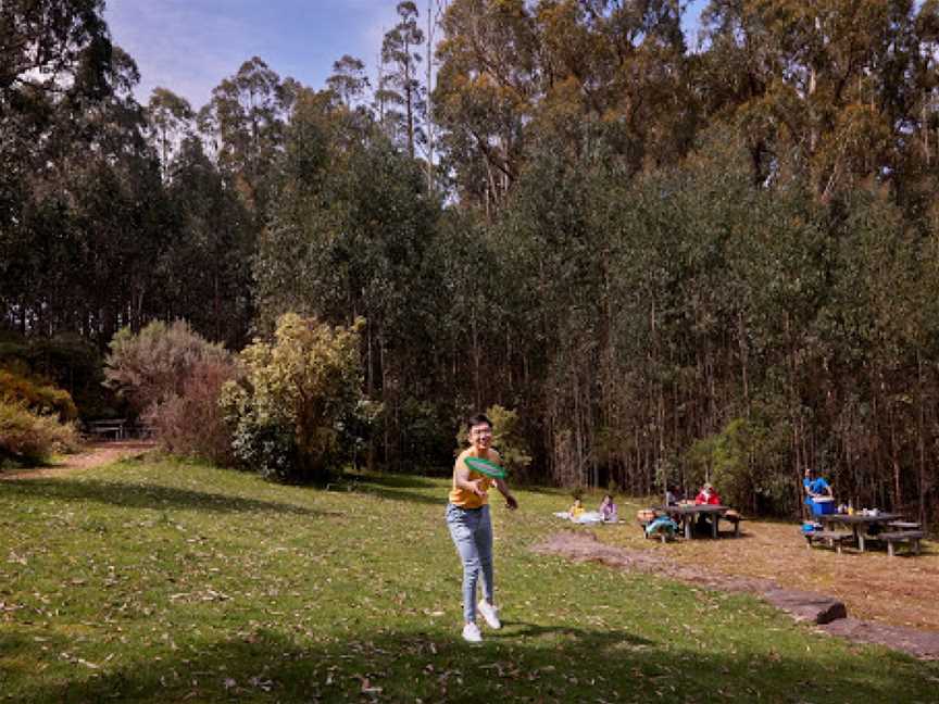 Jehosaphat Gully Picnic Area, Kinglake, VIC