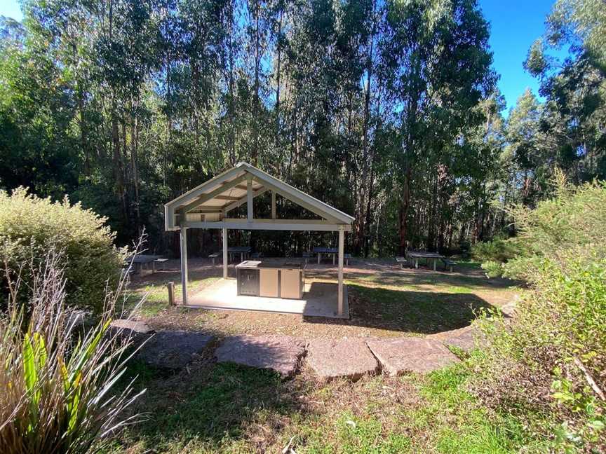 Jehosaphat Gully Picnic Area, Kinglake, VIC