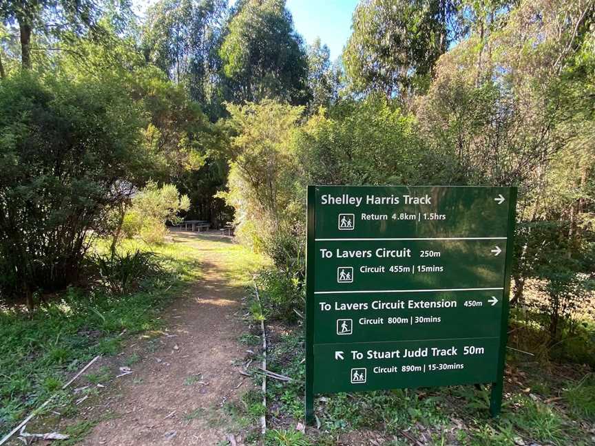 Jehosaphat Gully Picnic Area, Kinglake, VIC