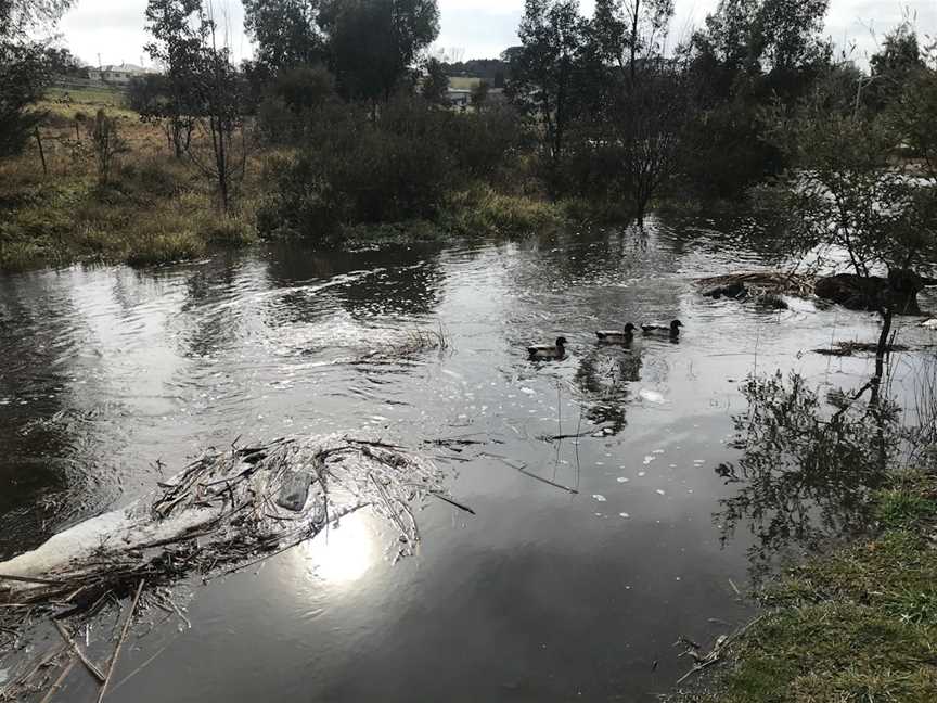 Pat Cullen Reserve in Crookwell, Crookwell, NSW