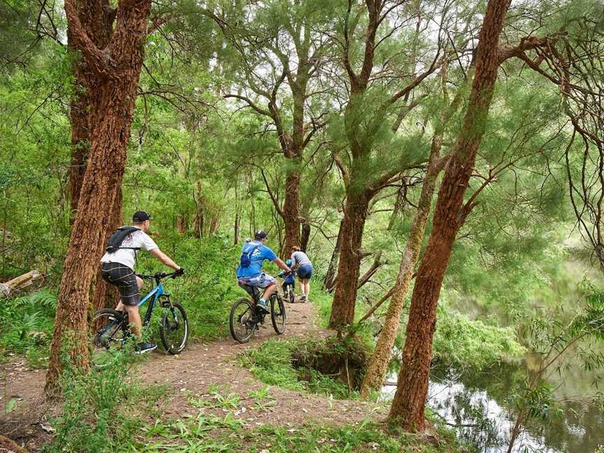 Relentless Blue, Pemberton Mountain Bike Park, Pemberton, WA