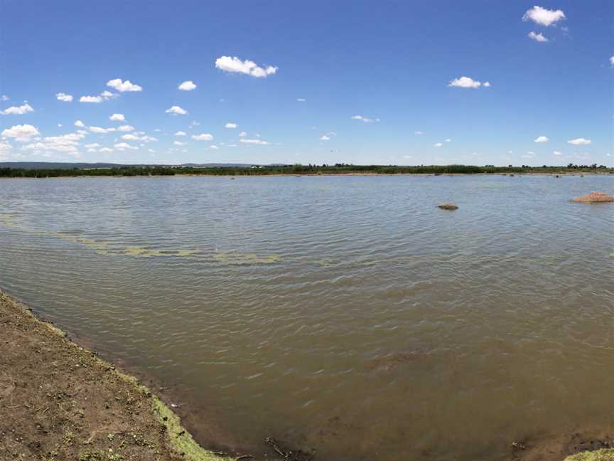 Fivebough Wetlands, Leeton, NSW